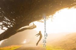开云体育登录-一秒钟的永恒，托纳利压哨绝杀，葡萄牙在绝境中触摸2026