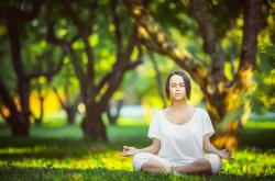 开云体育在线-从美网梦魇到伦敦救赎，德约科维奇用年终总决赛王冠重铸权杖