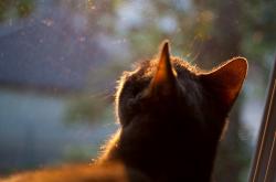 开云体育官网-格纳布里一锤定音！加纳友谊赛力克雷恩，拜仁尖刀化身关键先生