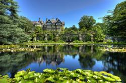 开云体育登录-绝境重生，归化悍将苏亚雷斯一肩扛起美国，生死战改写球队命运