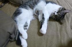 开云体育APP下载-铁幕与救赎