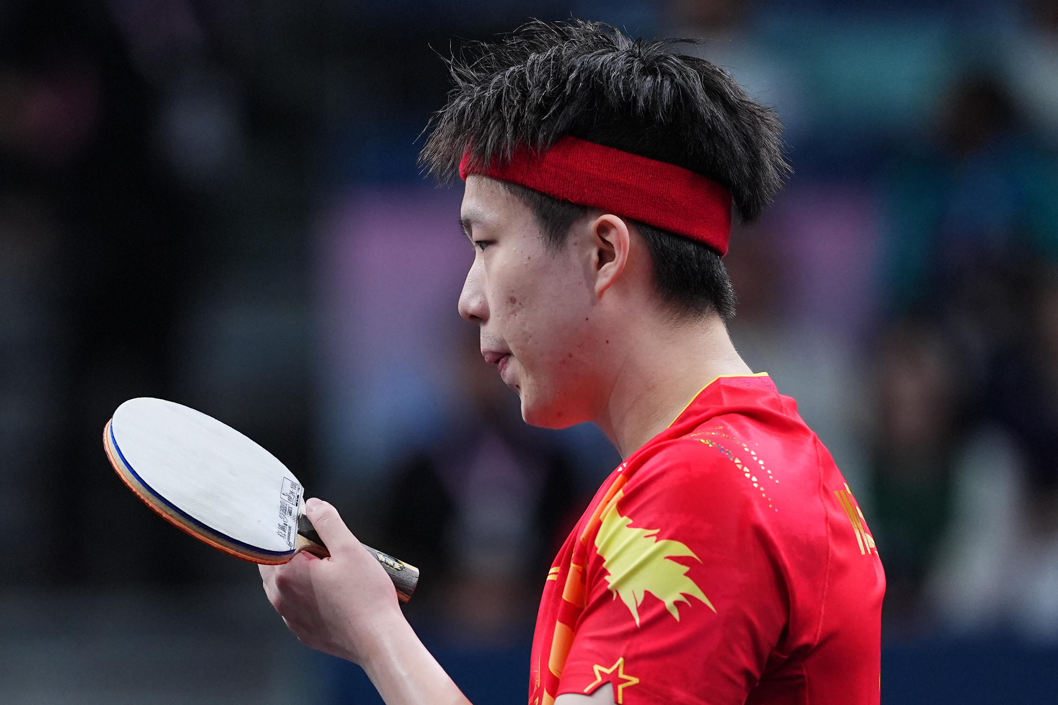 奥地利乒乓球队逆转瑞典乒乓球队，水谷隼统治全场的简单介绍