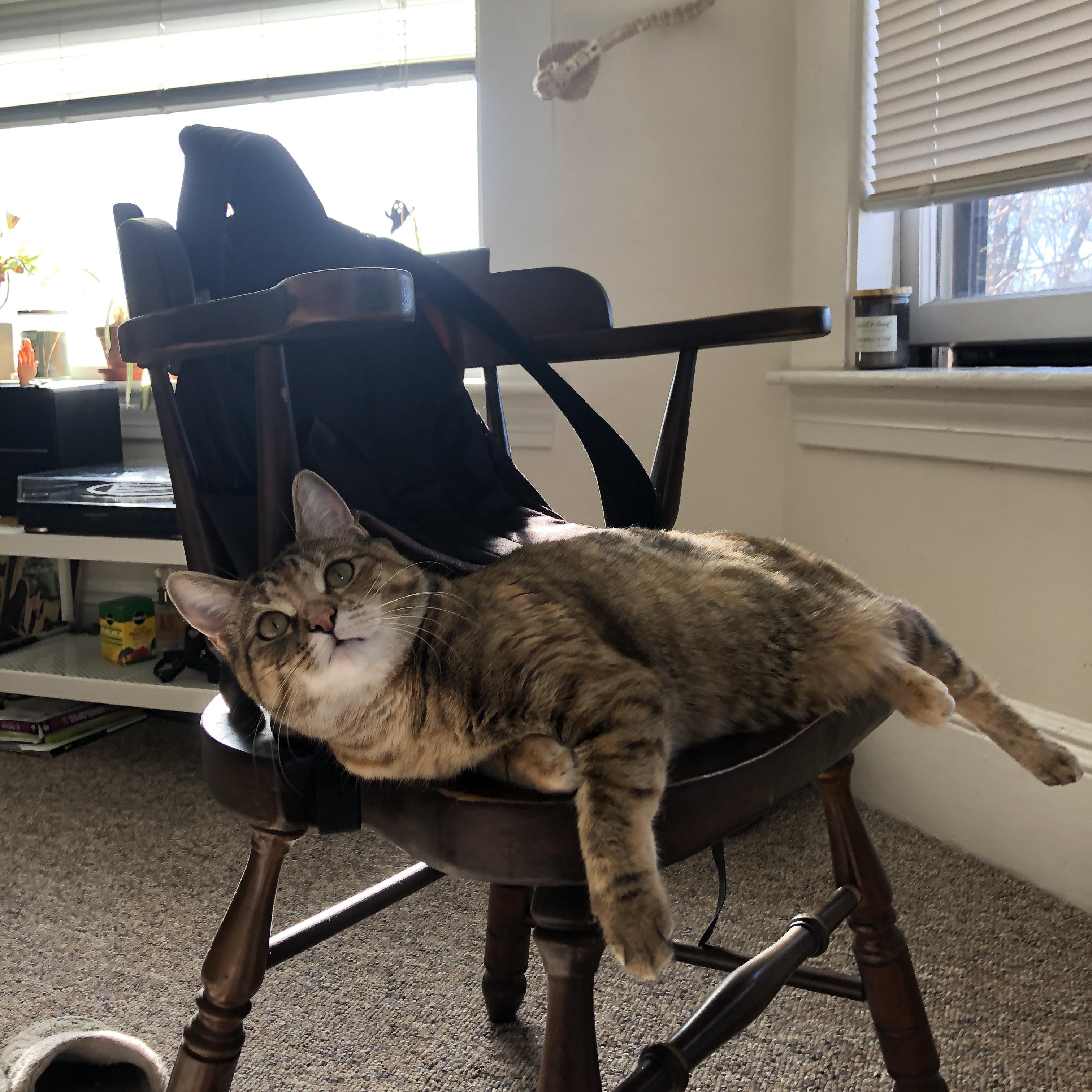 红蓝对决与暮色骑士，当拉沃尔杯战火燃进ATP总决赛的圣殿