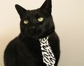 范戴克，坚冰与烈火之间，瑞士的非典型关键先生