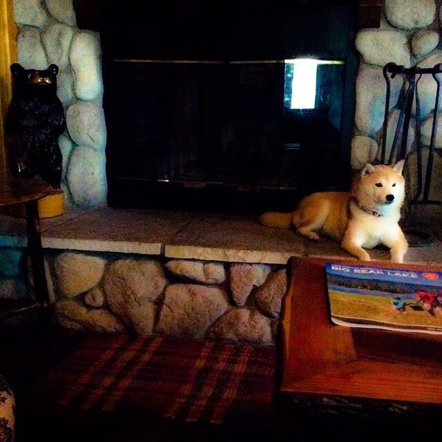 双城记，中国鏖战马里之巅，巴雷拉抢七铸就传奇