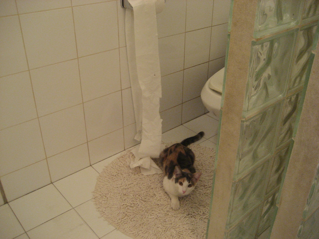 矛已利，盾何存？努涅斯无解刀锋下，阿森纳为全欧标定乌克兰战场强度