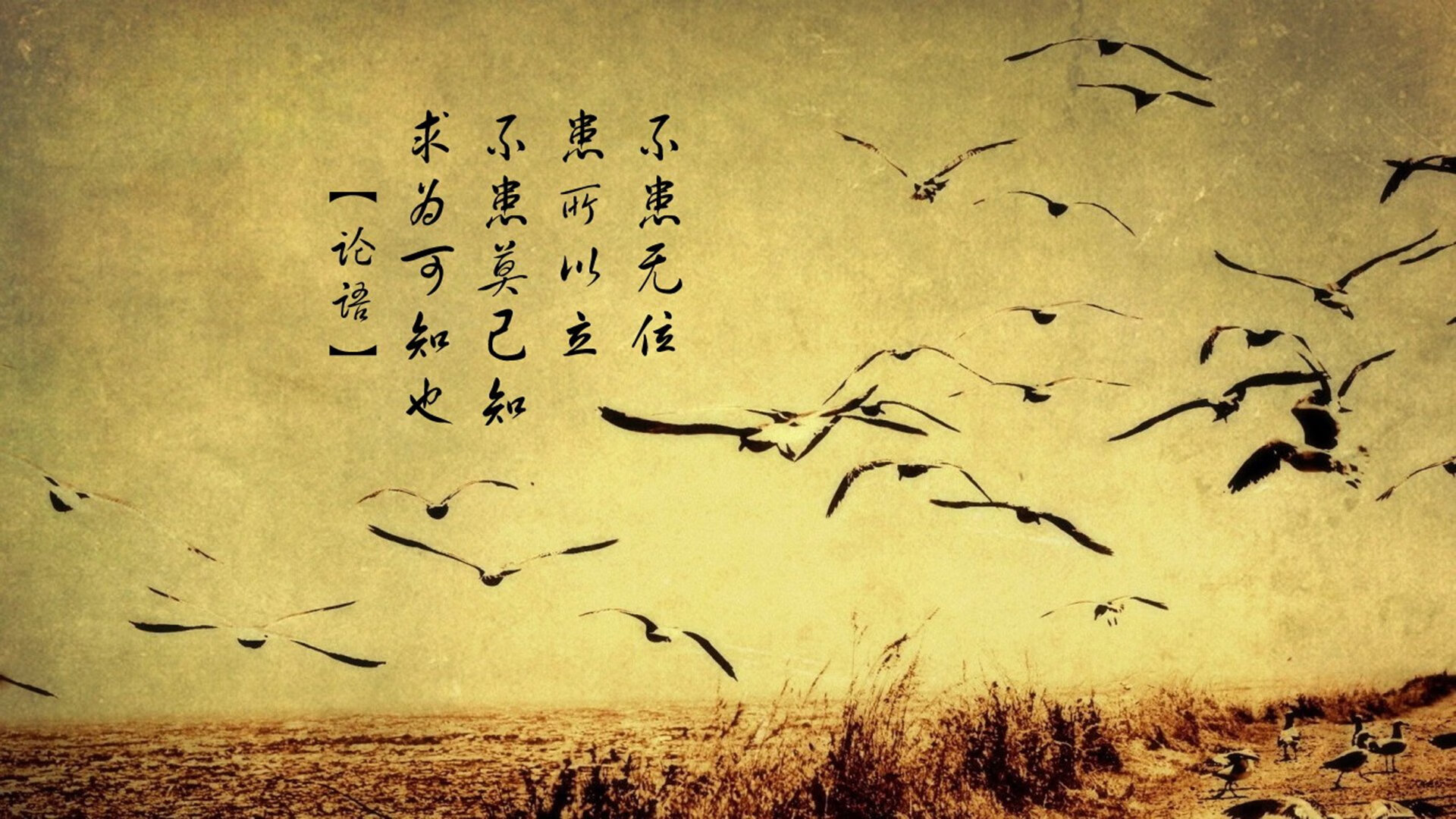 三组镜头，解码英格拉姆的意甲焦点夜