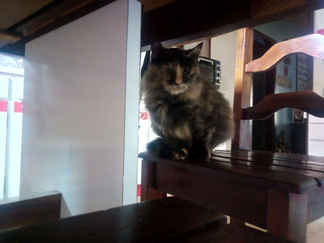 钢骨对獠牙，尼克斯与灰熊的总决赛血战