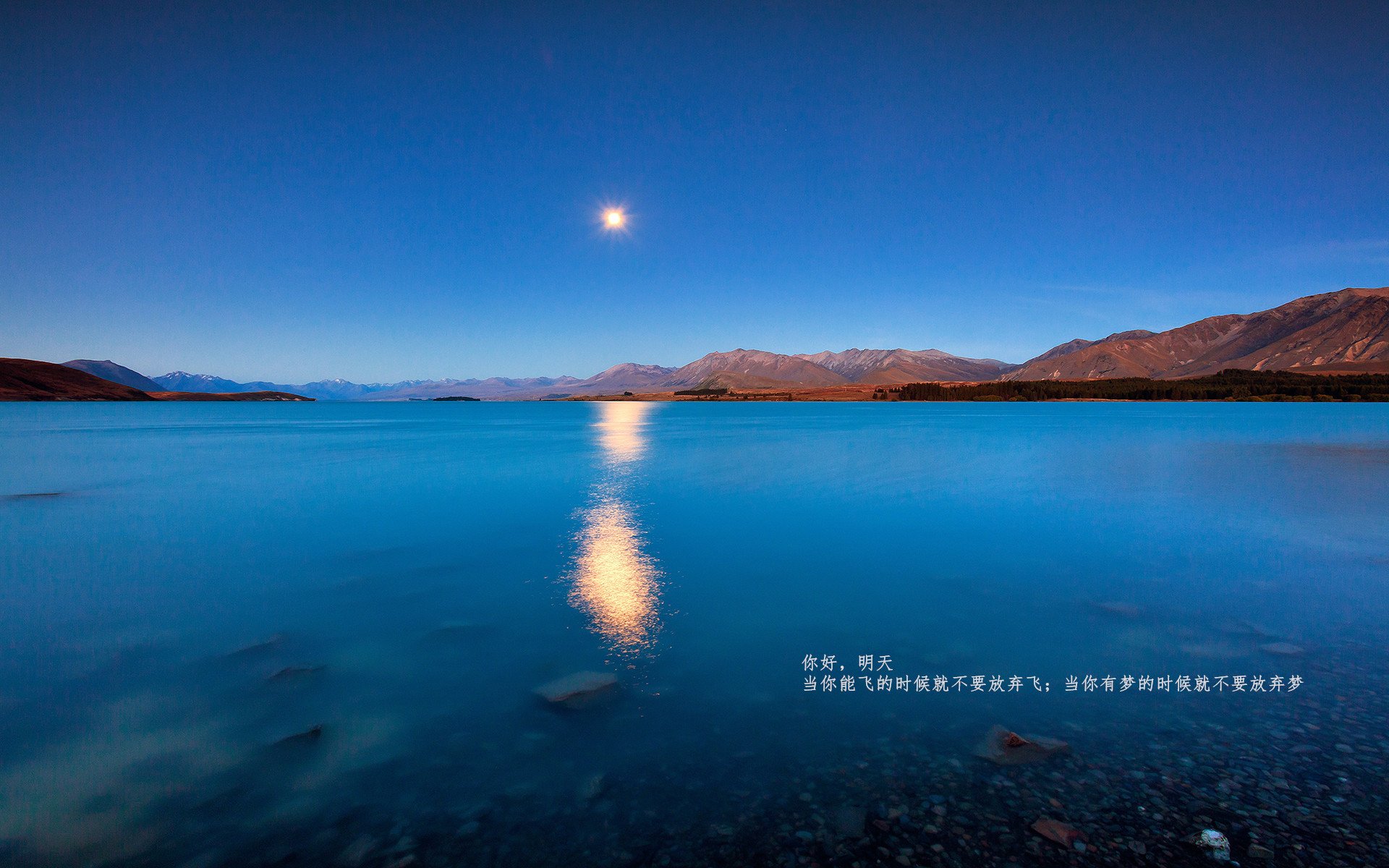 1.4秒闪电战,哥斯达黎加如何用一粒超速进球,撞塌希腊神话?