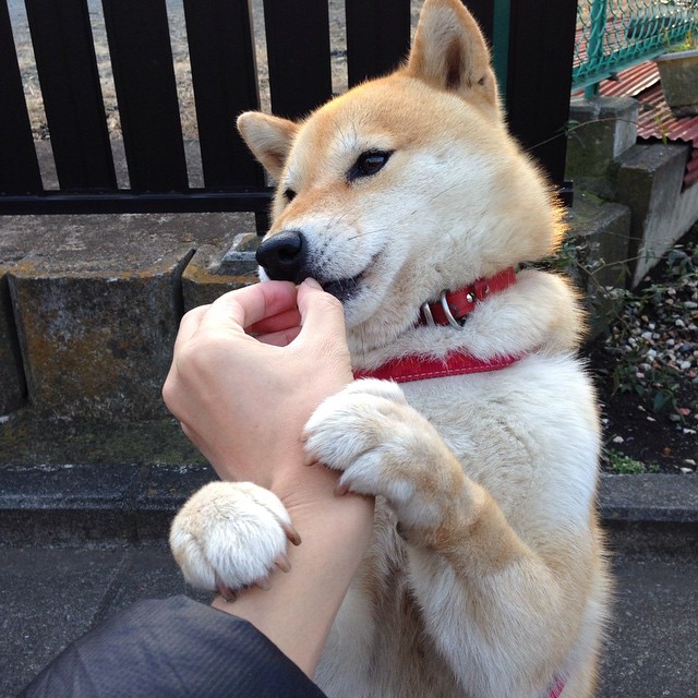 当宇宙坍塌于独行侠的指尖，辽篮之夜与库里数据背后的唯一性哲学