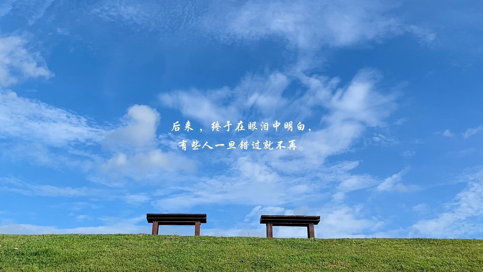 孤星逐日,2026世界杯生死战,智利绝地逆转捷克,孙兴慜一个人的史诗